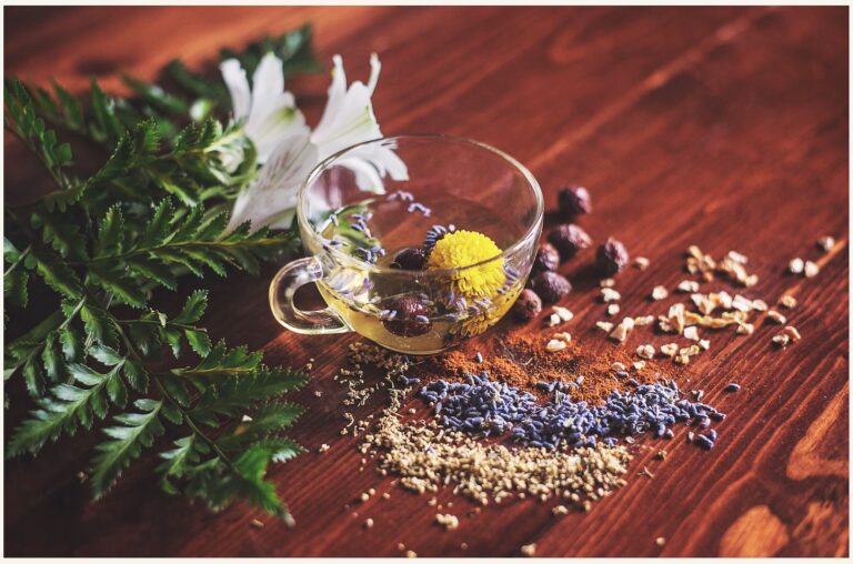Ayurveda-for-Beginners-Ancient-Wisdom-for-Modern-Life