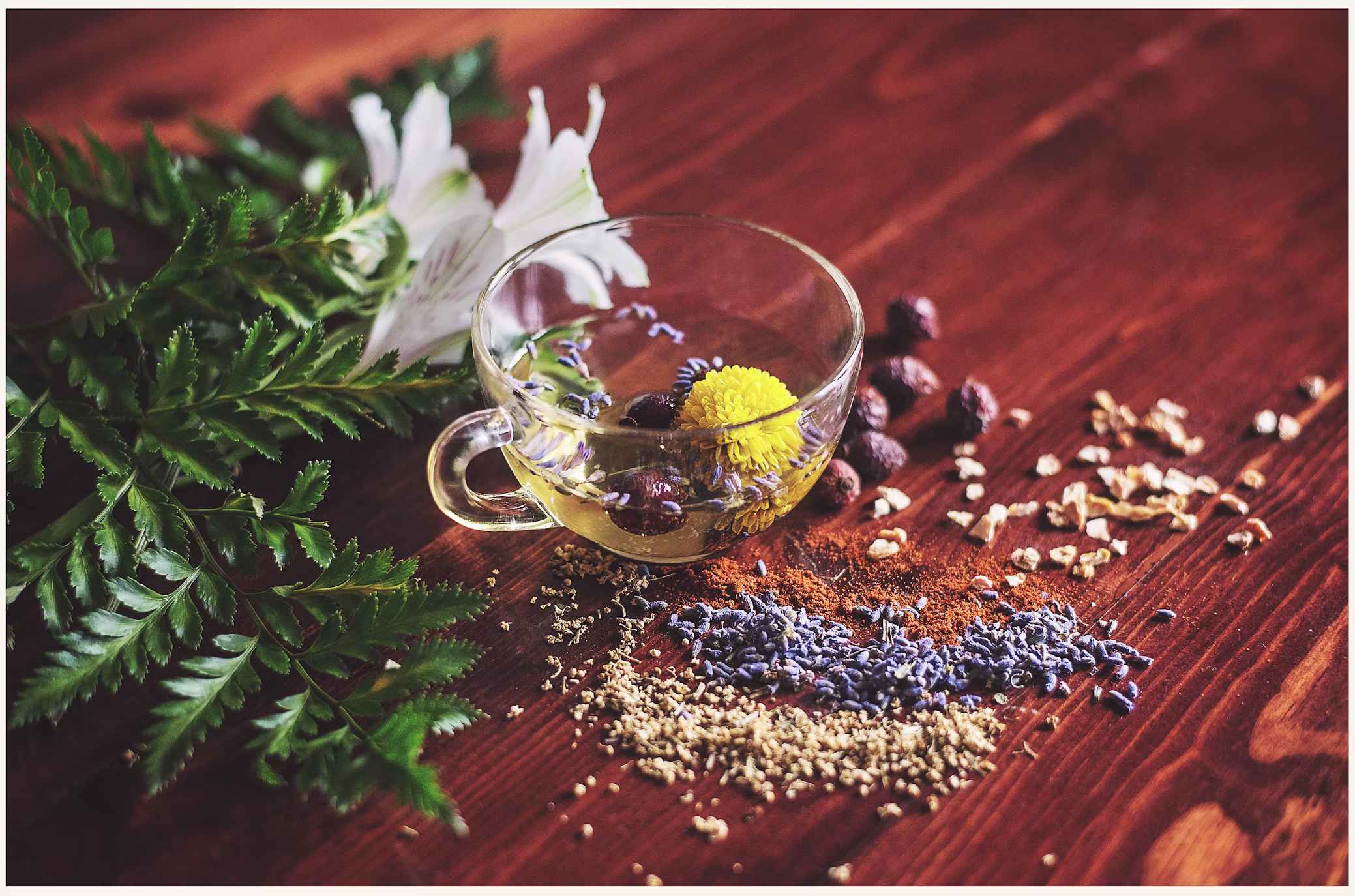 Ayurveda-for-Beginners-Ancient-Wisdom-for-Modern-Life