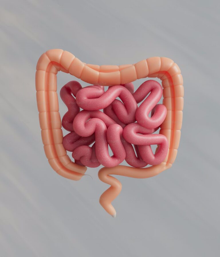 a image of gut and intenstines